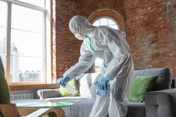 Professional Mold Removal & Remediation in Thorofare, NJ